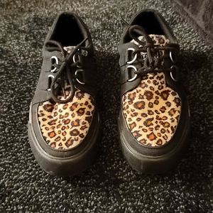 Black & leopard vlk creeper